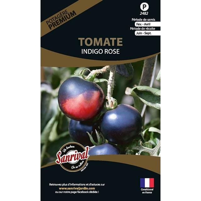 Tomate Indigo Rose (sachet)