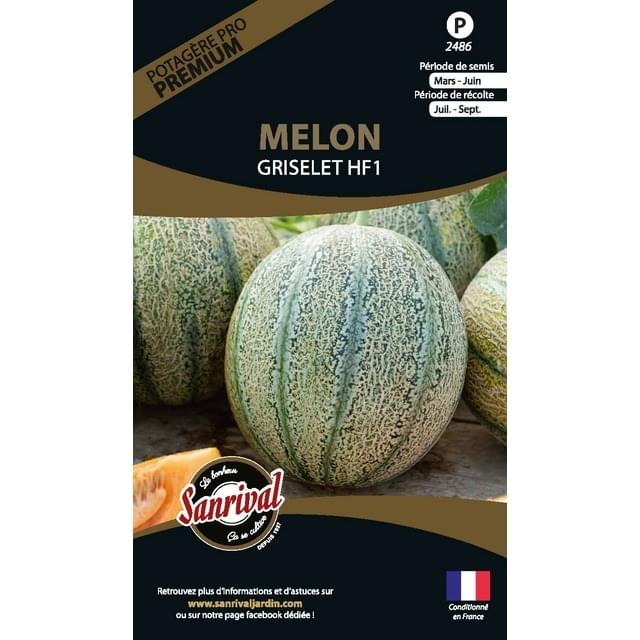 Melon Griselet HF1 (sachet)