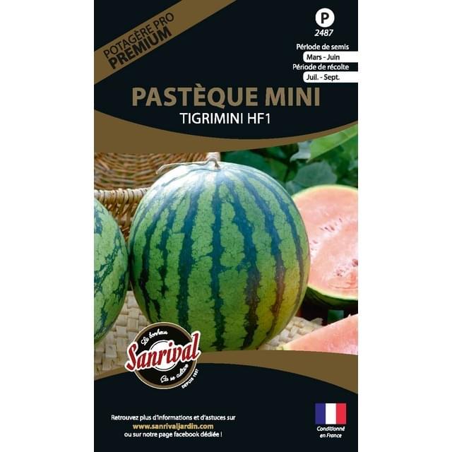 Pastèque mini Tigimini HF1 (sachet)
