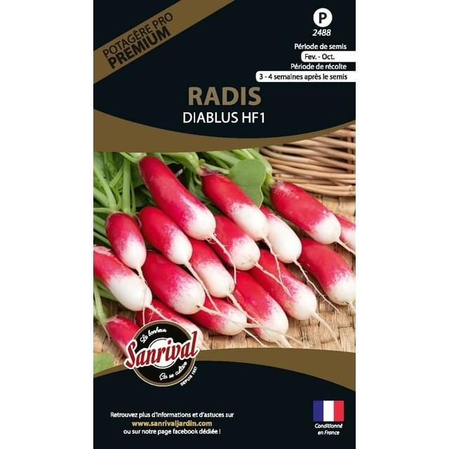 Radis Diablus HF1 (sachet)