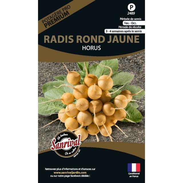 Radis rond jaune Horus (sachet)