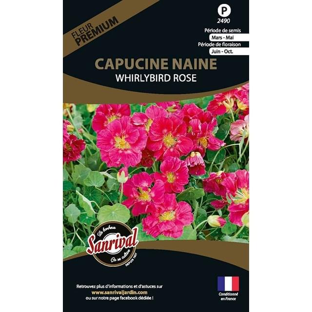 Capucine naine whirlybird rose (sachet)