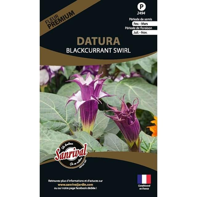 Datura blackcurrant swirl (sachet)