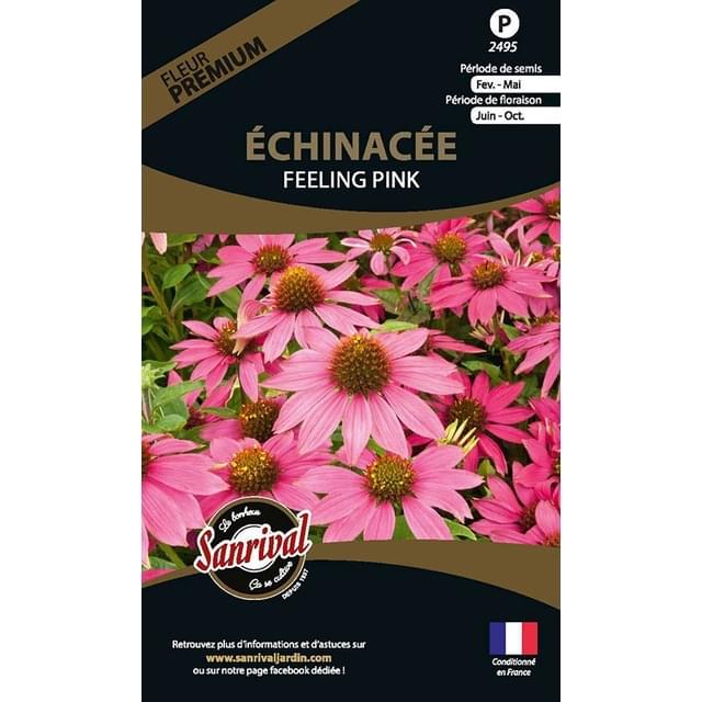 échinacée feeling pink (sachet)