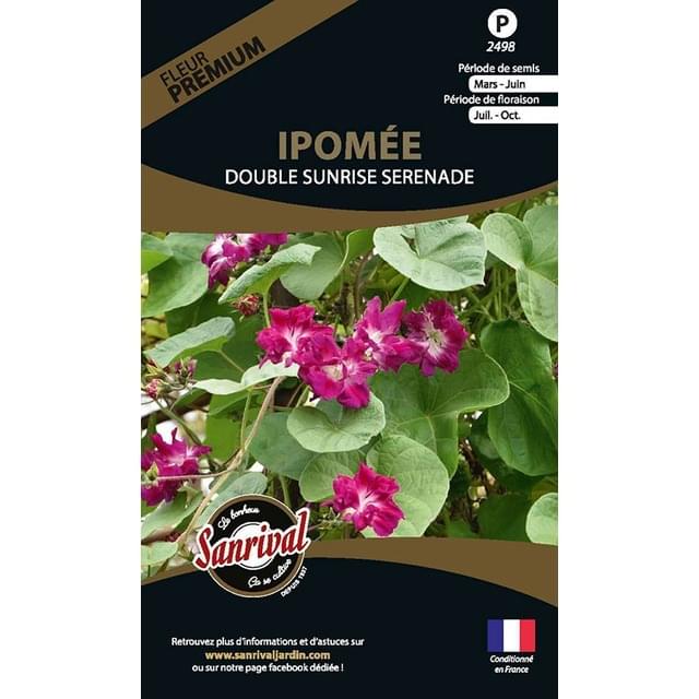 Ipomée  double sunrise serenade (sachet)