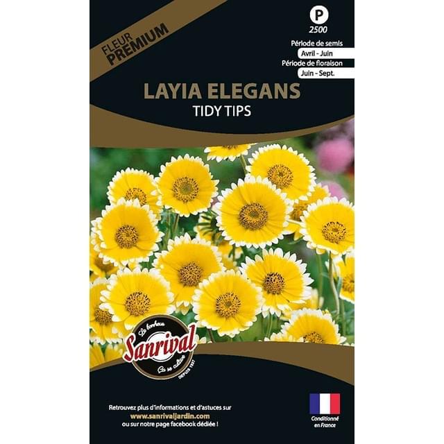 Layia elegans tidy tips (sachet)