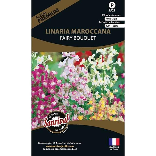 Linaria maroccana fairy bouquet (sachet)