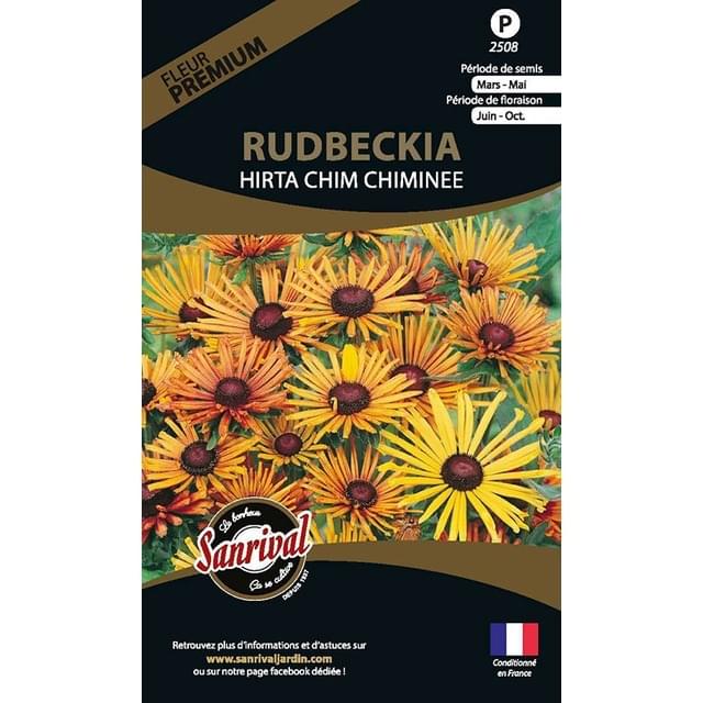 Rudbeckia Hirta chim chiminee (sachet)