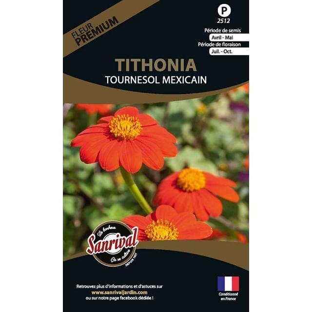 Tithonia Tournesol Mexicain (sachet)