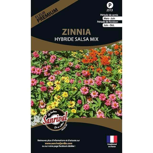 Zinnia Hybride Salsa mix (sachet)