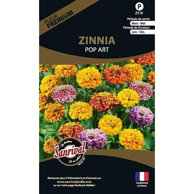 Zinnia Pop Art (sachet)