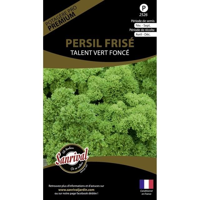 Persil frisé talent vert foncé (sachet)