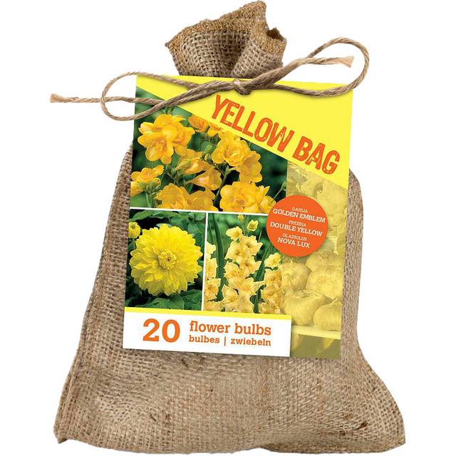 Yellow Bag - Assortiment de 20 bulbes jaunes en sac de jute (D.R. / Sanrival)