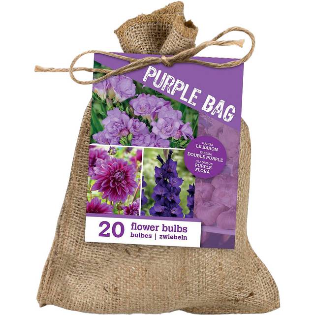 Purple Bag - Assortiment de 20 bulbes mauves en sac de jute (D.R. / Sanrival)
