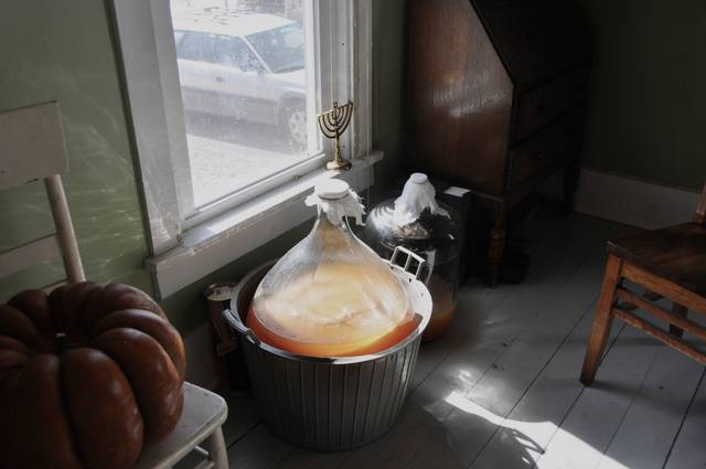 Cidre en train de fermenter dans une bombonne de verre