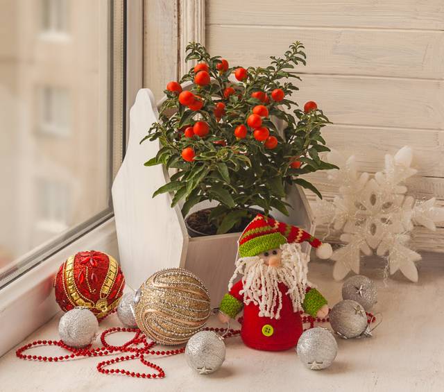 Décor de fête avec un pommier d'amour