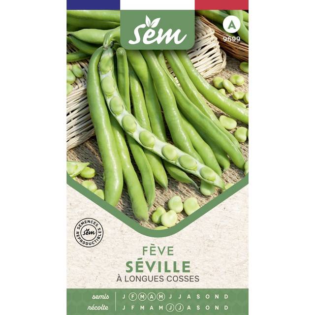 Fève Séville à longues cosses