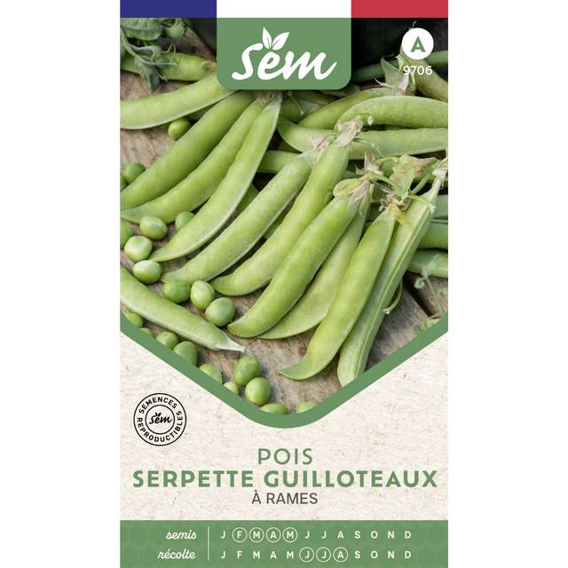 Pois à rames Serpette Guilloteaux