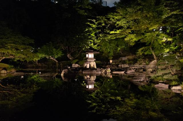 Jardin japonais éclairé avec une lanterne de pierre