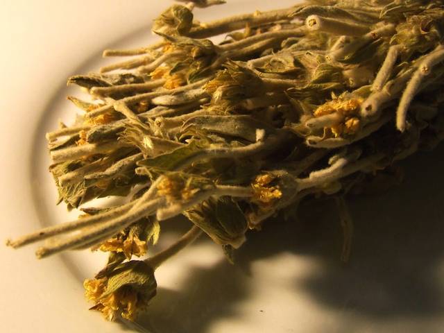 Sideritis syriaca, plante séchée