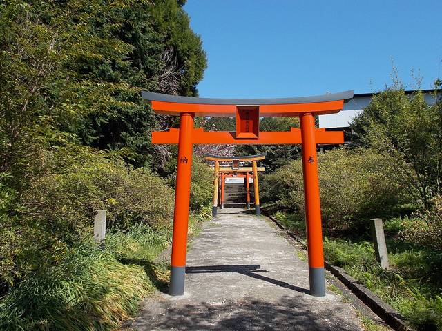 Torii dans un jardin japonais
