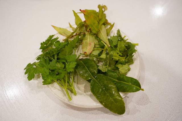 Herbes aromatiques exotiques dont la coriandre vietnamienne