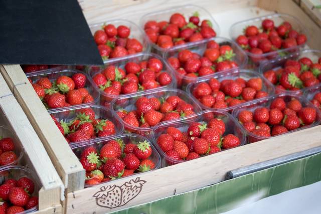 Plateau de fraises en barquettes plastique