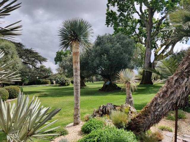 Jardin du Château Pape Clément