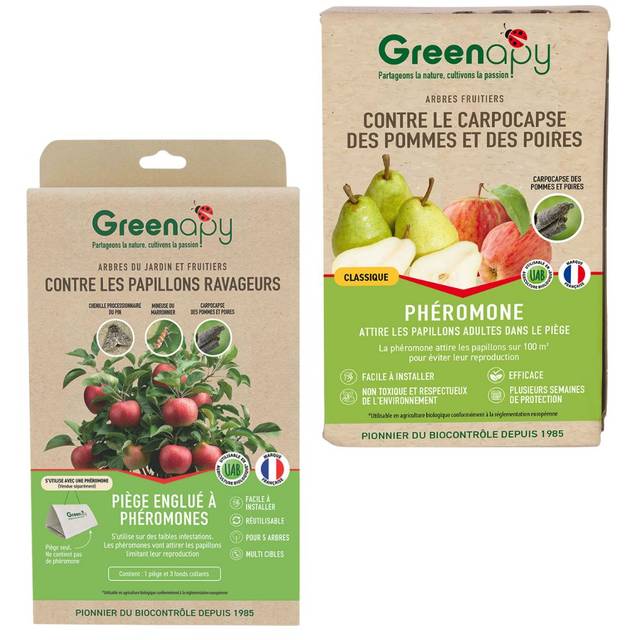 Kit piège carpocapse des pommes et poires - Petit jardin