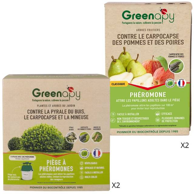 Kit piège carpocapse des pommes et poires - Verger