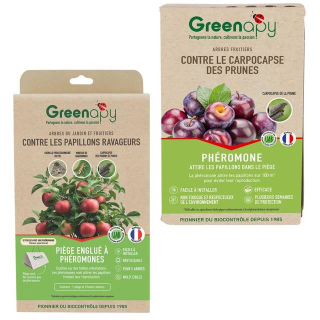 Kit piège carpocapse des prunes - Petit jardin