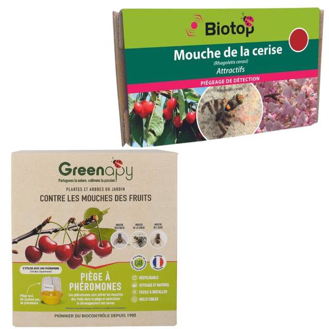 Kit piège mouche de la cerise - Petit jardin