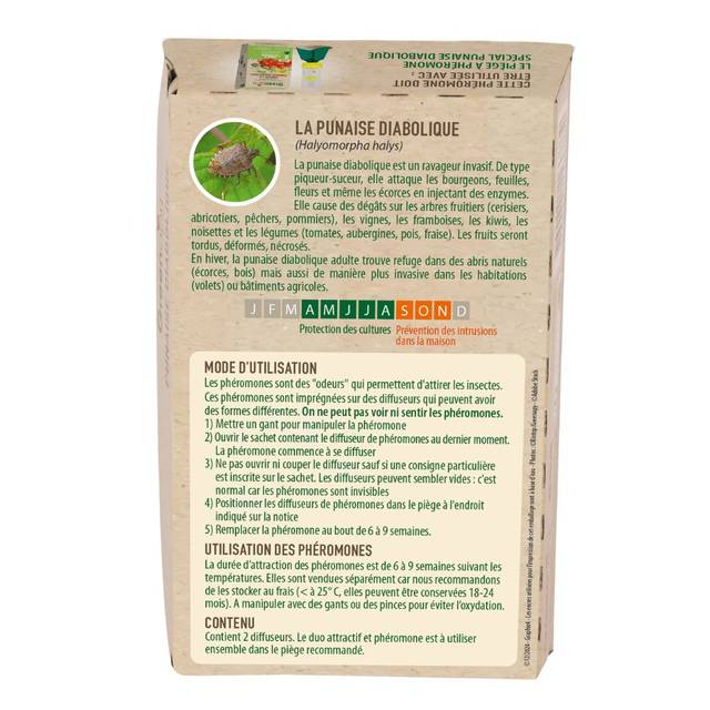 Punaises diaboliques : Phéromones Halyomorpha halys - 2 capsules