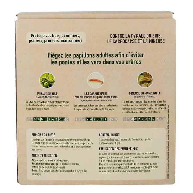 Piège à Papillons type Entonnoir