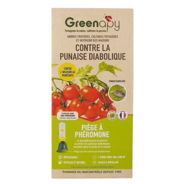 Punaises diaboliques : Piège en entonnoir