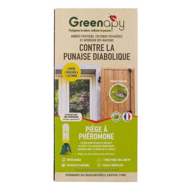 Punaises diaboliques : Piège en entonnoir