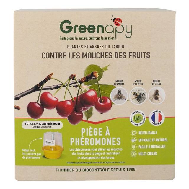 Piège à mouches des fruits type entonnoir