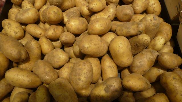 Pomme de terre Belle de Fontenay
