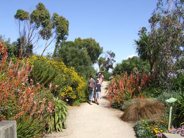 Jardin botanique et exotique de Roscoff