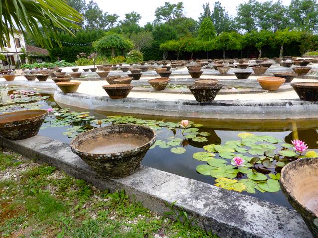 Jardin de Latour-Marliac