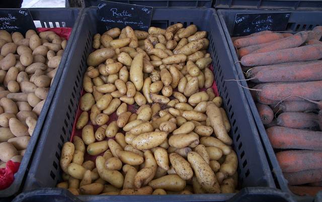 Pomme de terre Ratte