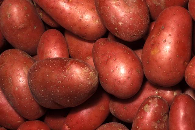 Pomme de terre Roseval
