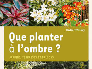 Que planter à l'ombre - Jardins, terrasses et balcons