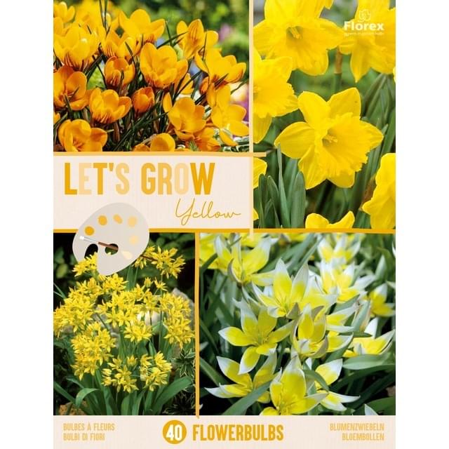 LET'S GROW JAUNE MIX - filet