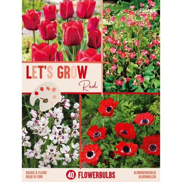 LET'S GROW ROUGE MIX - filet