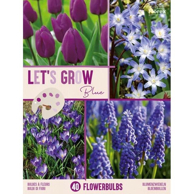 LET'S GROW BLEU MIX - filet