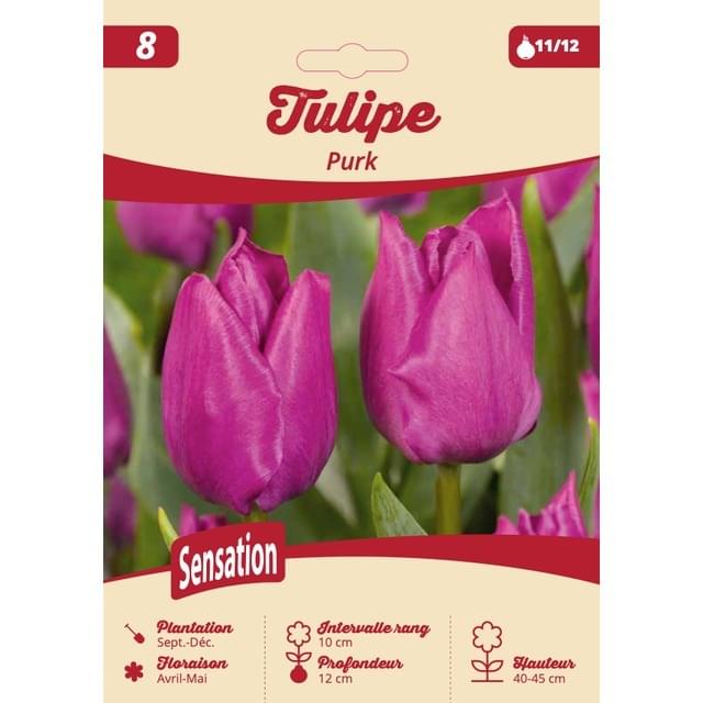 Tulipe Purk - filet