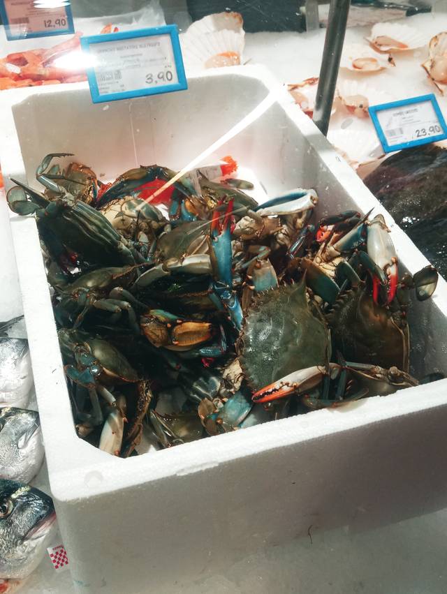 Crabe bleu à l'étal d'une poissonnerie en Italie