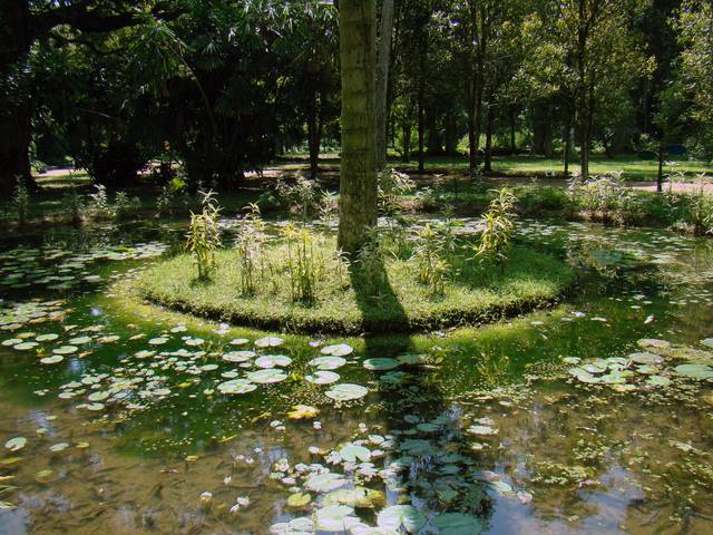 cliquez pour voir la suite Jardin botanique de Rio de Janeiro (Brésil)