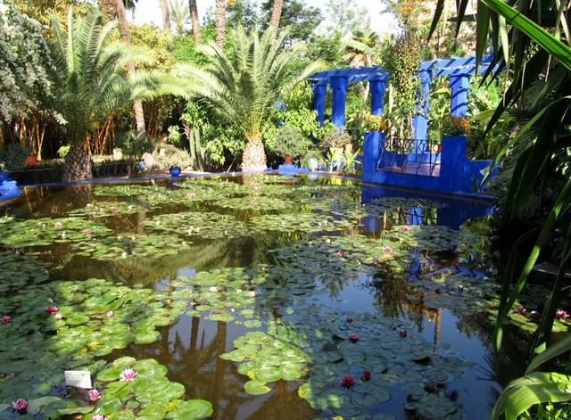 cliquez pour voir la suite Jardin Majorelle (Maroc)